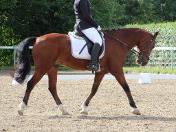 IMG_0967_web